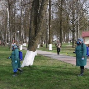 В Вороново обрабатывают от клещей зоны массового отдыха