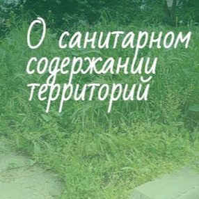Памятка для граждан о благоустройстве и содержании земельного участка