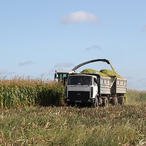 Месячник безопасности: какие нарушения выявила межведомственная группа?