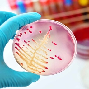  Менингококковая инфекция — опасное заболевание...