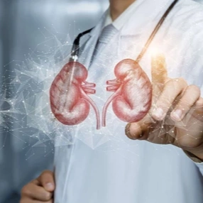 12 марта - Всемирный день почки