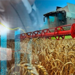 Обследование сельскохозяйственных организаций совместно с профсоюзами агропромышленного комплекса