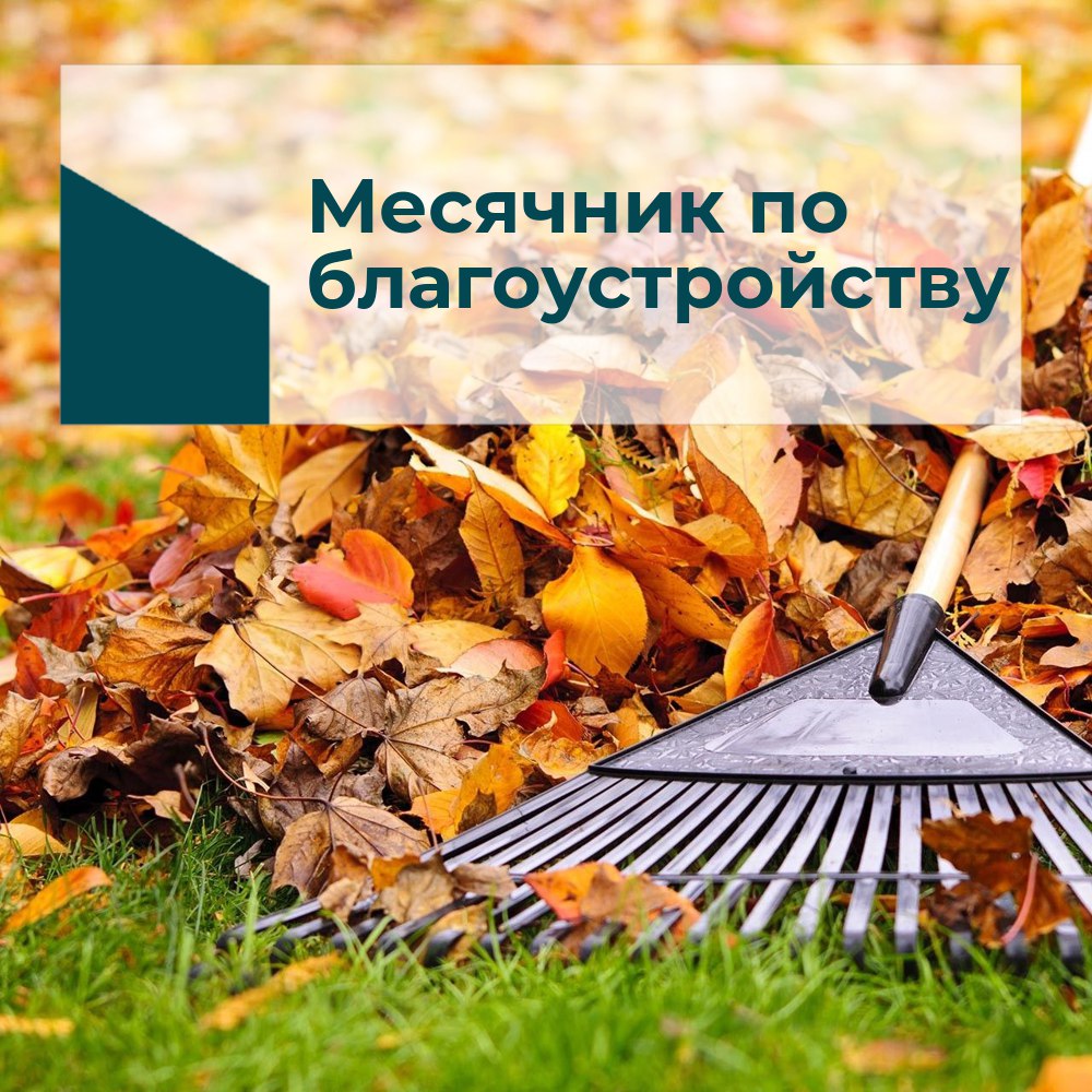 Вороновский район готовится к месячнику по благоустройству: призыв к активному участию