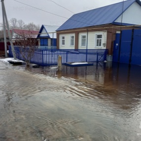 Правила поведения во время и после паводка: профилактика острых кишечных инфекций