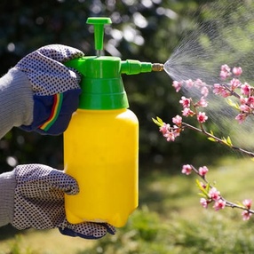 Профилактика отравлений пестицидами