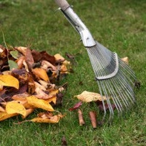 Чисто не там, где убирают, а там, где не мусорят