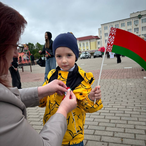 Под флагом Родины: связь поколений в Вороновском районном ЦГЭ